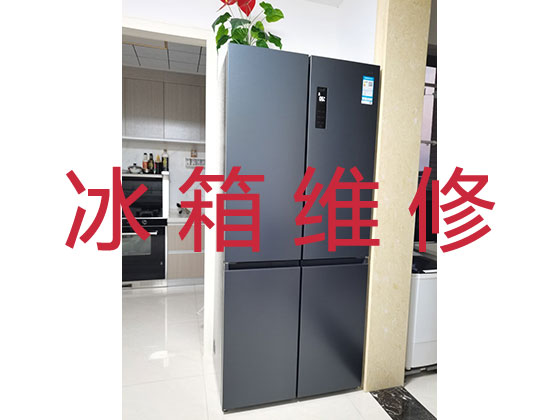 连云港专业电冰箱安装